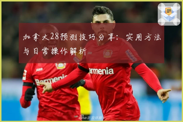 加拿大28预测技巧分享：实用方法与日常操作解析