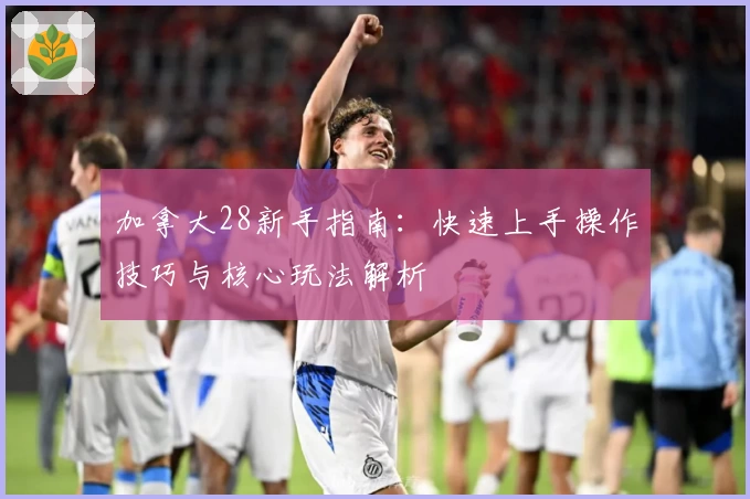 加拿大28新手指南：快速上手操作技巧与核心玩法解析