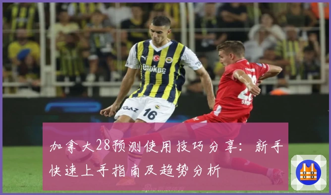 加拿大28预测使用技巧分享：新手快速上手指南及趋势分析