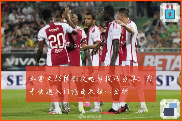 加拿大28预测攻略与技巧分享：新手快速入门指南及核心分析