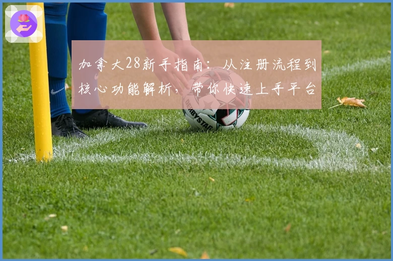 加拿大28新手指南：从注册流程到核心功能解析，带你快速上手平台