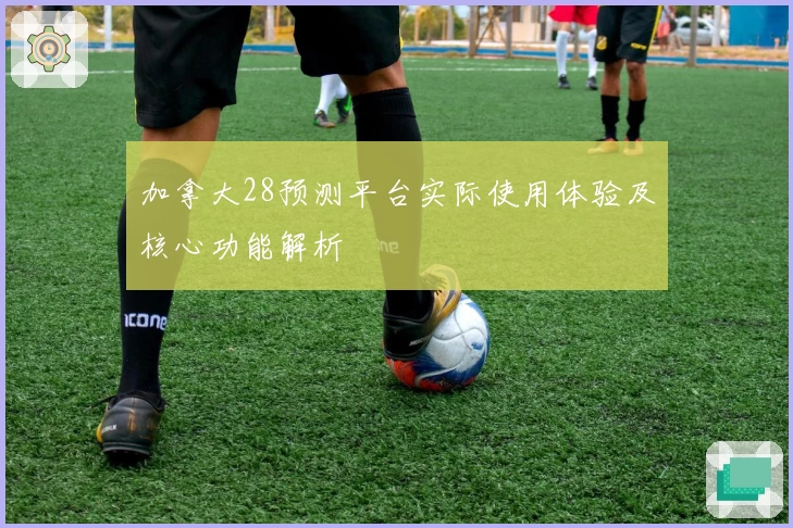 加拿大28预测平台实际使用体验及核心功能解析