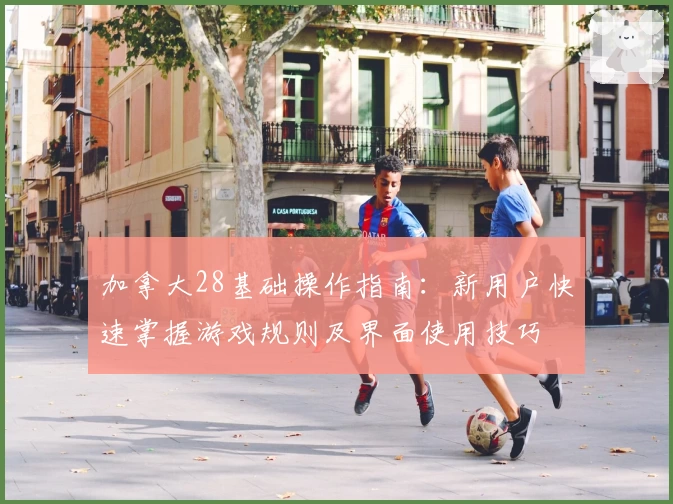 加拿大28基础操作指南：新用户快速掌握游戏规则及界面使用技巧