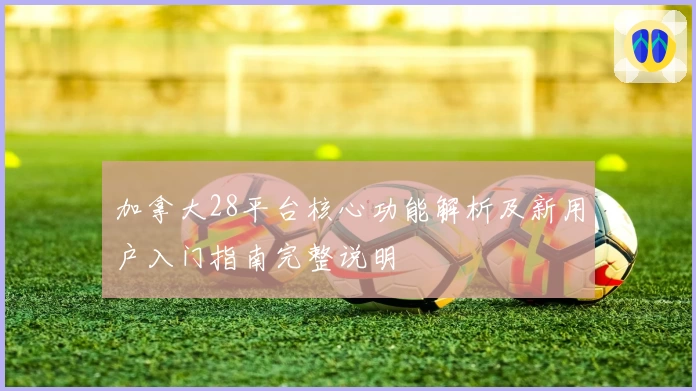 加拿大28平台核心功能解析及新用户入门指南完整说明