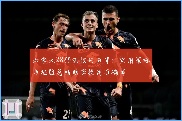 加拿大28预测技巧分享：实用策略与经验总结助您提高准确率