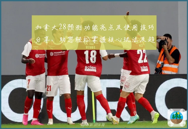 加拿大28预测功能亮点及使用技巧分享，助您轻松掌握核心玩法及趋势分析