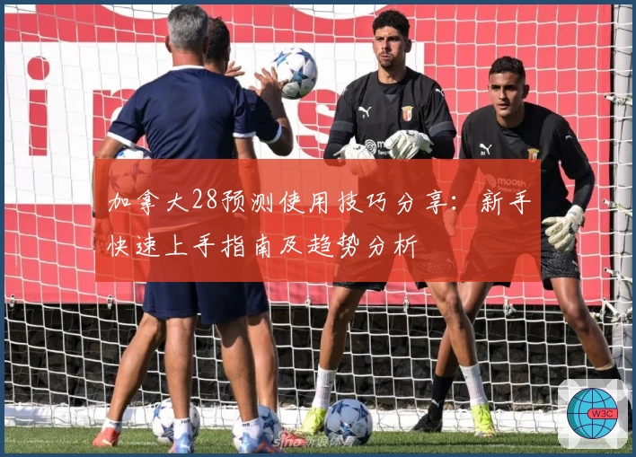 加拿大28预测使用技巧分享：新手快速上手指南及趋势分析